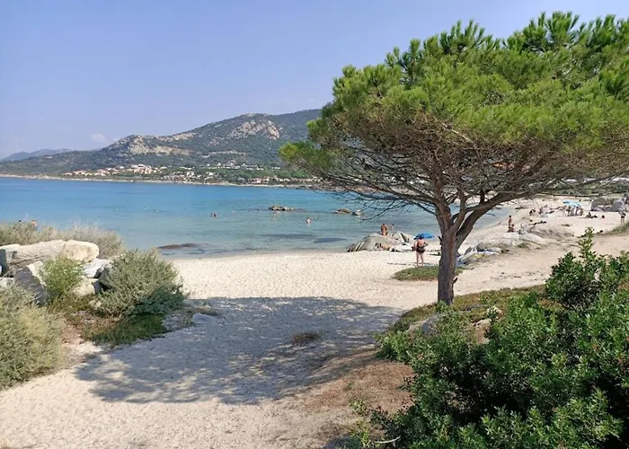 Vaccagia - 2 - A 2 Pas De La Semesterbostad Lumio (Corsica)